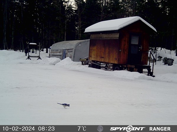 2024-Faune-STF-0971