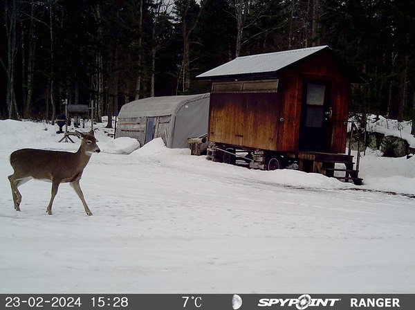 2024-Faune-STF-0976