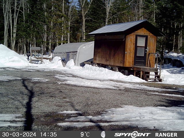 2024-Faune-STF-1008
